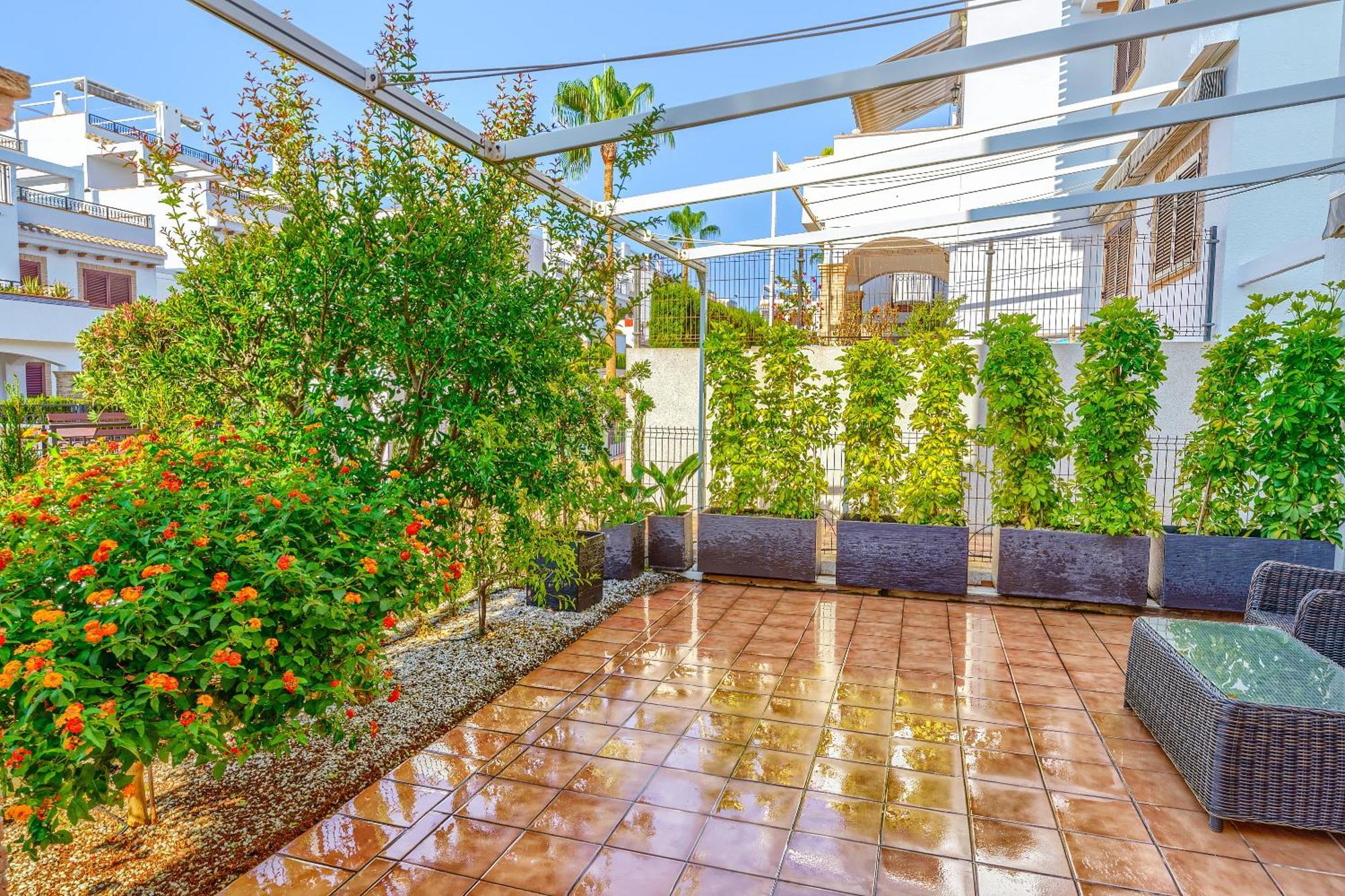 Sunny Apartments In La Mata, Azul Beach 2 Torrevieja Eksteriør billede
